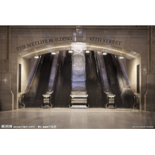 Escalator de bonne qualité et extérieur ou intérieur